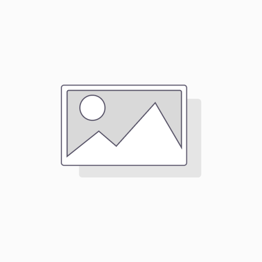 Advanced Mentoring | EMF
